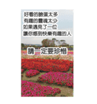 自然の長老の地図(大きなステッカー)（個別スタンプ：17）