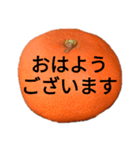 金時みかん（個別スタンプ：2）