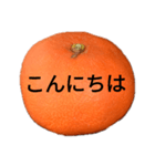 金時みかん（個別スタンプ：3）
