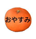 金時みかん（個別スタンプ：4）