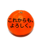 金時みかん（個別スタンプ：6）