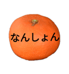 金時みかん（個別スタンプ：7）