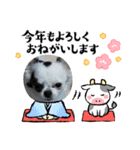 お正月チワワ（個別スタンプ：4）
