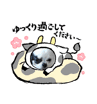 お正月チワワ（個別スタンプ：6）