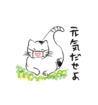 新しい生活様式で暮らす猫 3（個別スタンプ：31）