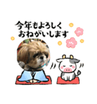 k.n オリジナル5（個別スタンプ：2）