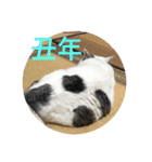 k.n オリジナル5（個別スタンプ：4）