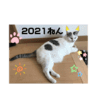 k.n オリジナル5（個別スタンプ：5）