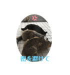 k.n オリジナル5（個別スタンプ：6）