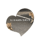 k.n オリジナル5（個別スタンプ：7）