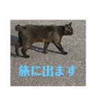k.n オリジナル5（個別スタンプ：9）