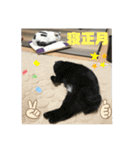 k.n オリジナル5（個別スタンプ：11）