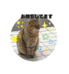 k.n オリジナル5（個別スタンプ：12）