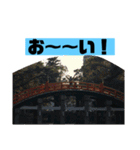 怒輪愚タコ助（個別スタンプ：15）