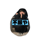 怒輪愚タコ助（個別スタンプ：16）