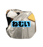 怒輪愚タコ助（個別スタンプ：18）