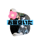 怒輪愚タコ助（個別スタンプ：20）