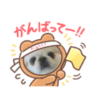 ももちゃんのLINEスタンプ（個別スタンプ：9）