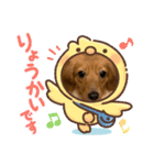 ららちゃんスタンプ5（個別スタンプ：5）