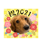 ららちゃんスタンプ5（個別スタンプ：6）