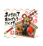 ららちゃんスタンプ5（個別スタンプ：7）