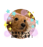 ららちゃんスタンプ5（個別スタンプ：8）