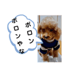 たけしのスタンプ  その16（個別スタンプ：3）