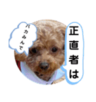 たけしのスタンプ  その16（個別スタンプ：4）