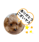 たけしのスタンプ  その16（個別スタンプ：7）