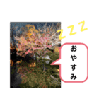 たけしのスタンプ  その16（個別スタンプ：8）