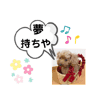 たけしのスタンプ  その16（個別スタンプ：11）