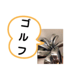 たけしのスタンプ  その16（個別スタンプ：14）