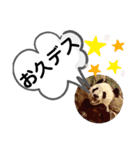 たけしのスタンプ  その16（個別スタンプ：15）