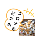 たけしのスタンプ  その16（個別スタンプ：17）