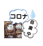 たけしのスタンプ  その16（個別スタンプ：18）