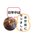 たけしのスタンプ  その16（個別スタンプ：20）
