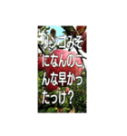 thing of gypsy lionの使いづらいスタンプ（個別スタンプ：4）