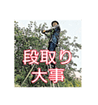 thing of gypsy lionの使いづらいスタンプ（個別スタンプ：11）