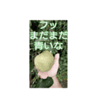 thing of gypsy lionの使いづらいスタンプ（個別スタンプ：12）