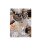 takahashi_20210101152635（個別スタンプ：3）