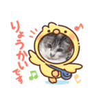 takahashi_20210101152635（個別スタンプ：5）