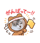 takahashi_20210101152635（個別スタンプ：6）