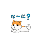 かわいい猫の動くスタンプその1（個別スタンプ：1）