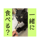 愛しのごっちゃんスタンプ2（個別スタンプ：5）
