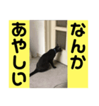 愛しのごっちゃんスタンプ2（個別スタンプ：6）