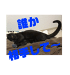 愛しのごっちゃんスタンプ2（個別スタンプ：7）