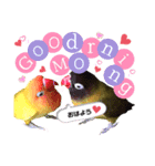 ムーたん＆ピーたん（個別スタンプ：1）