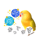 ムーたん＆ピーたん（個別スタンプ：8）