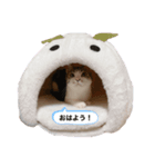 ぷーちゃん♥（個別スタンプ：3）
