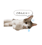 ぷーちゃん♥（個別スタンプ：6）